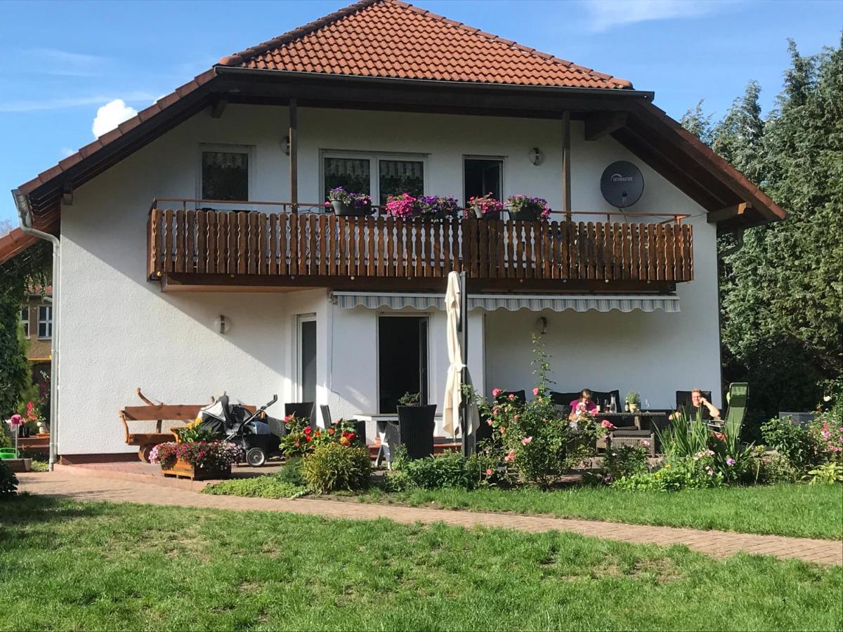 Grosszuegige Ferienwohnung Am Waldesrand Im Seenland Lauta Eksteriør billede