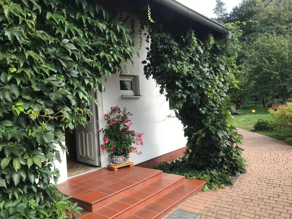 Grosszuegige Ferienwohnung Am Waldesrand Im Seenland Lauta Eksteriør billede