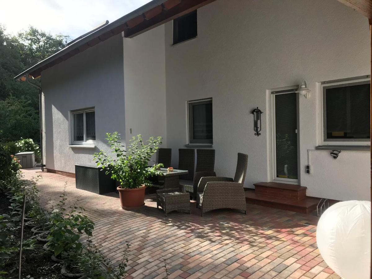 Grosszuegige Ferienwohnung Am Waldesrand Im Seenland Lauta Eksteriør billede