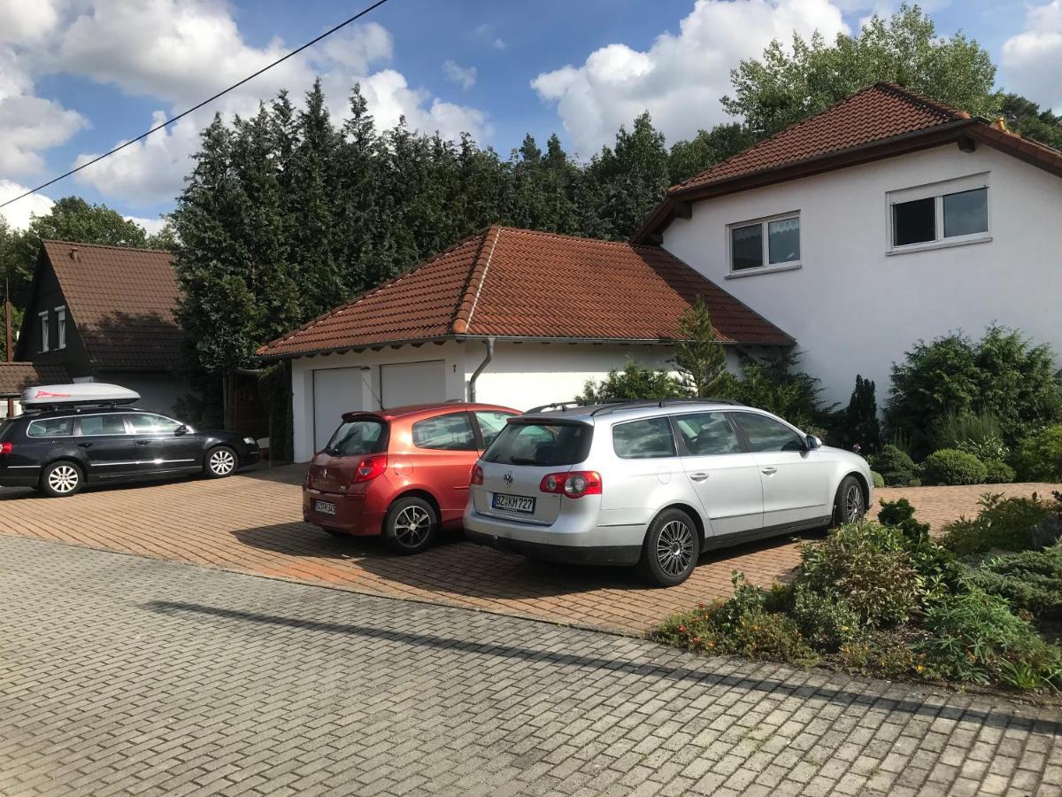 Grosszuegige Ferienwohnung Am Waldesrand Im Seenland Lauta Eksteriør billede